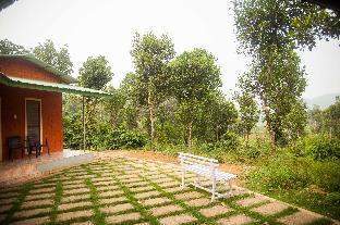 yedamakky plantations