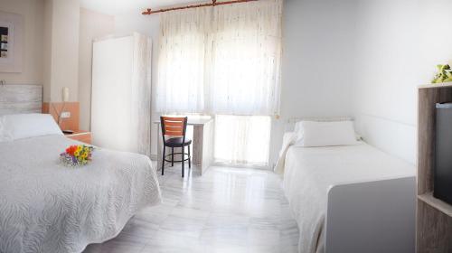 hotel albero
