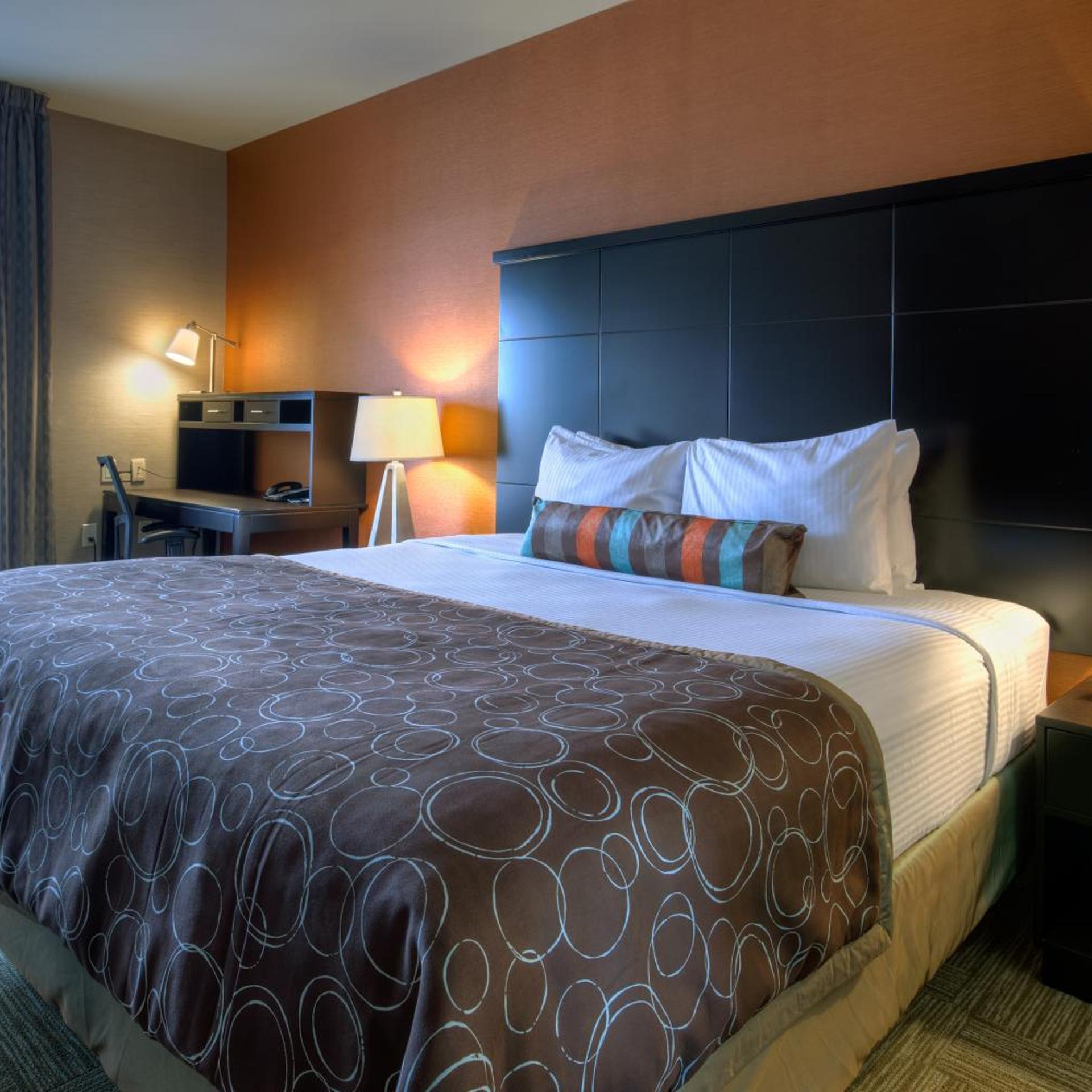staybridge suites hamilton downtown by ihg