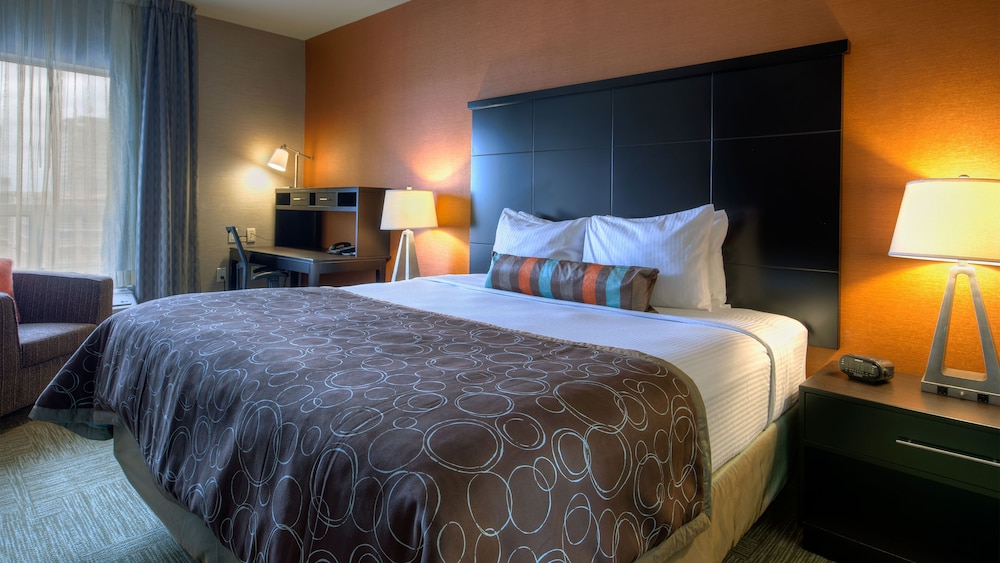 Staybridge Suites Hamilton Downtown By Ihg,Hamilton>>Burlington,3 star