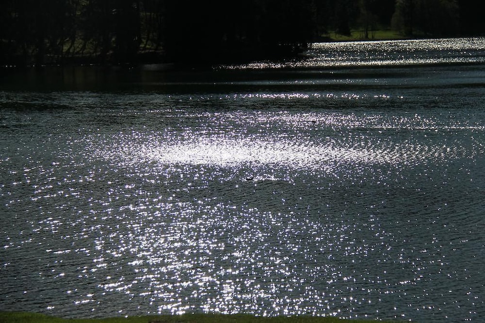 berggasthof willy merkl