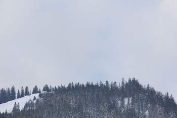 berggasthof willy merkl