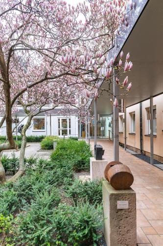 caritas pirckheimer haus