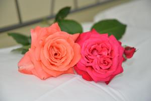 aparthotel le corniole