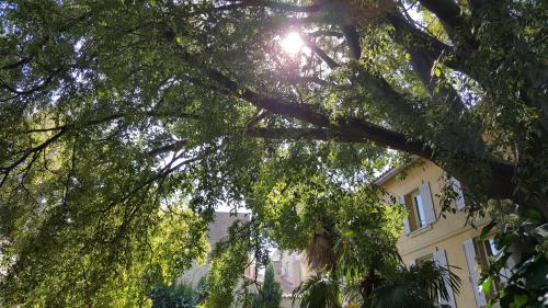 hotel spa le calendal