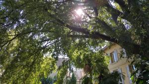 hotel spa le calendal