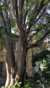 hotel spa le calendal