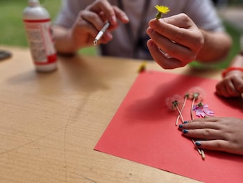 apollonia beach resort and spa