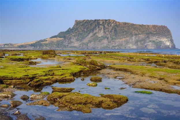 seogwipo yongnuni pension