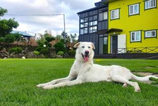 seogwipo yongnuni pension