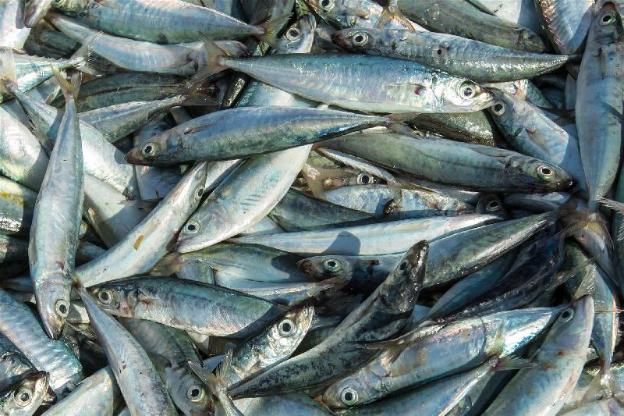 puri malinda pangandaran