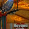 pension havana club