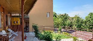 blossom hideaway kausani