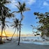 pines and palms resort