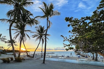 pines and palms resort