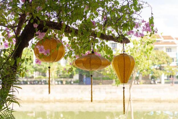 hoi an old town riverside workation paradise