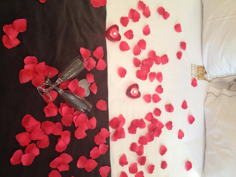 hotel mestre de avis