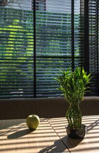 rosslyn thracia hotel