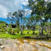 phurin thara resort