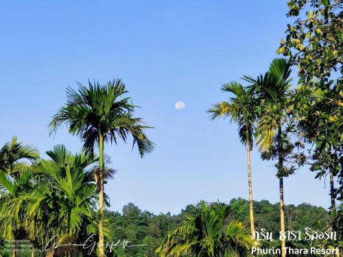 phurin thara resort