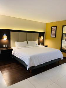 Holiday Inn Express Mexico Basilica By Ihg,Mexico City>>Cuauhtemoc,3 star