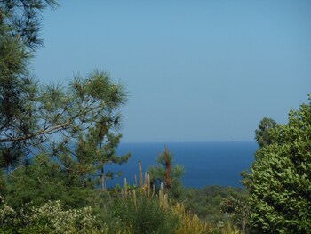 sesimbra