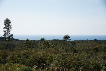 sesimbra