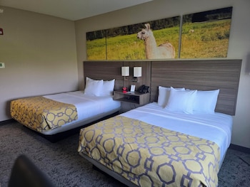 clarion pointe mattoon near university