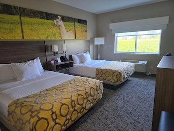 clarion pointe mattoon near university