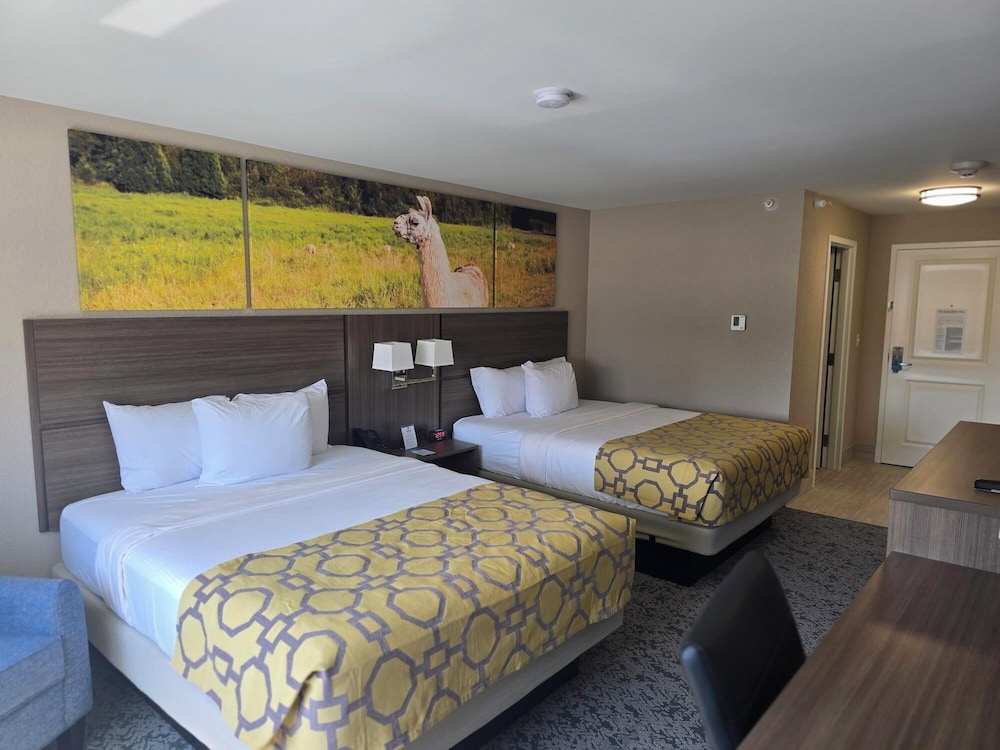 clarion pointe mattoon near university