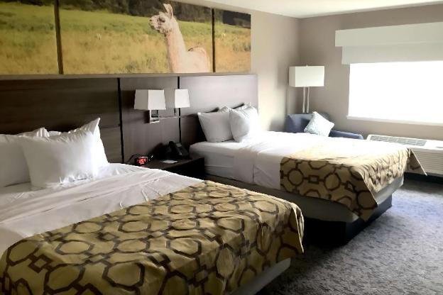 clarion pointe mattoon near university