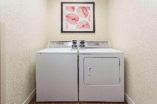 clarion pointe mattoon near university