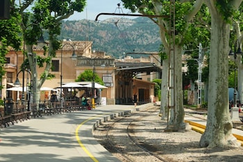 soller