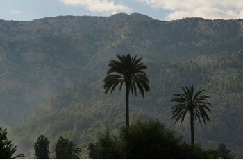 soller