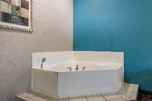 best western mineola inn