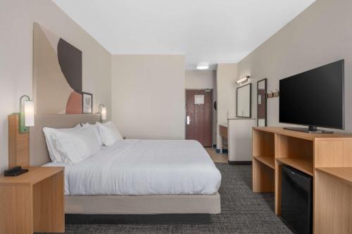 spark by hilton minot