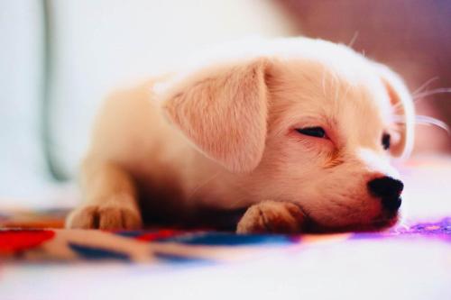 silk road travelers youth hostel