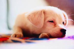 silk road travelers youth hostel