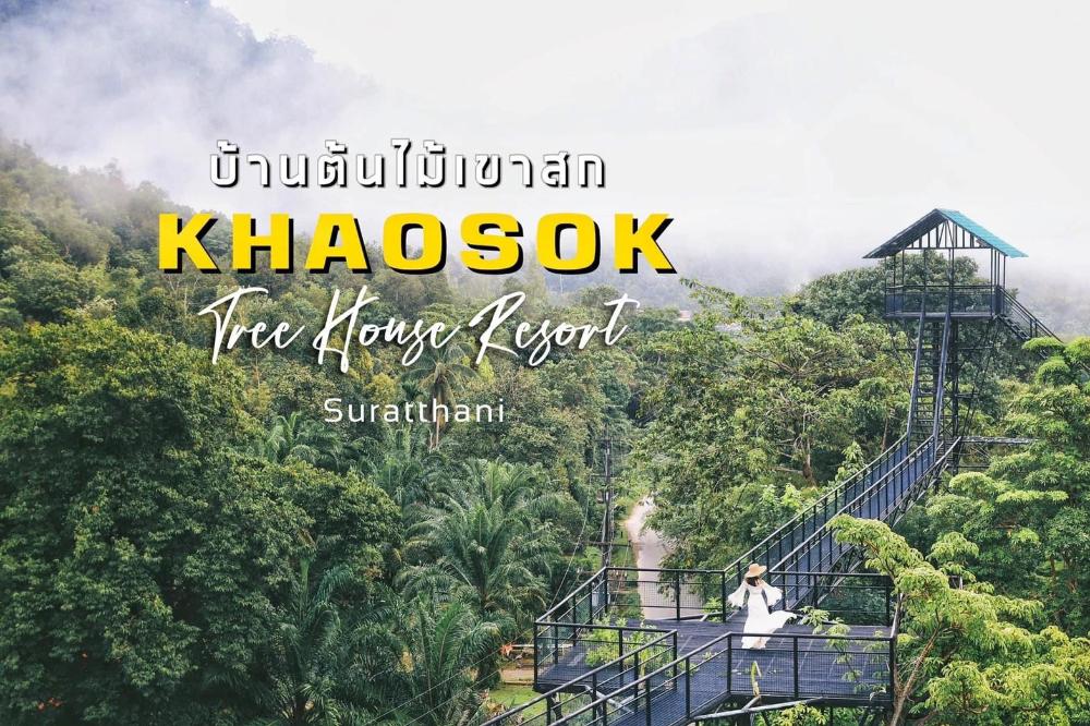 khao sok tree house