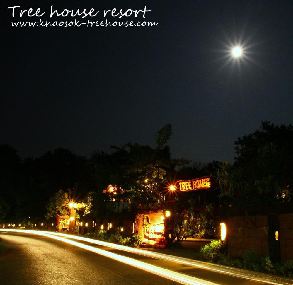 khao sok tree house