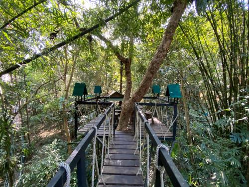khao sok tree house