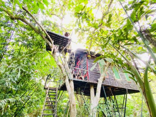 khao sok tree house