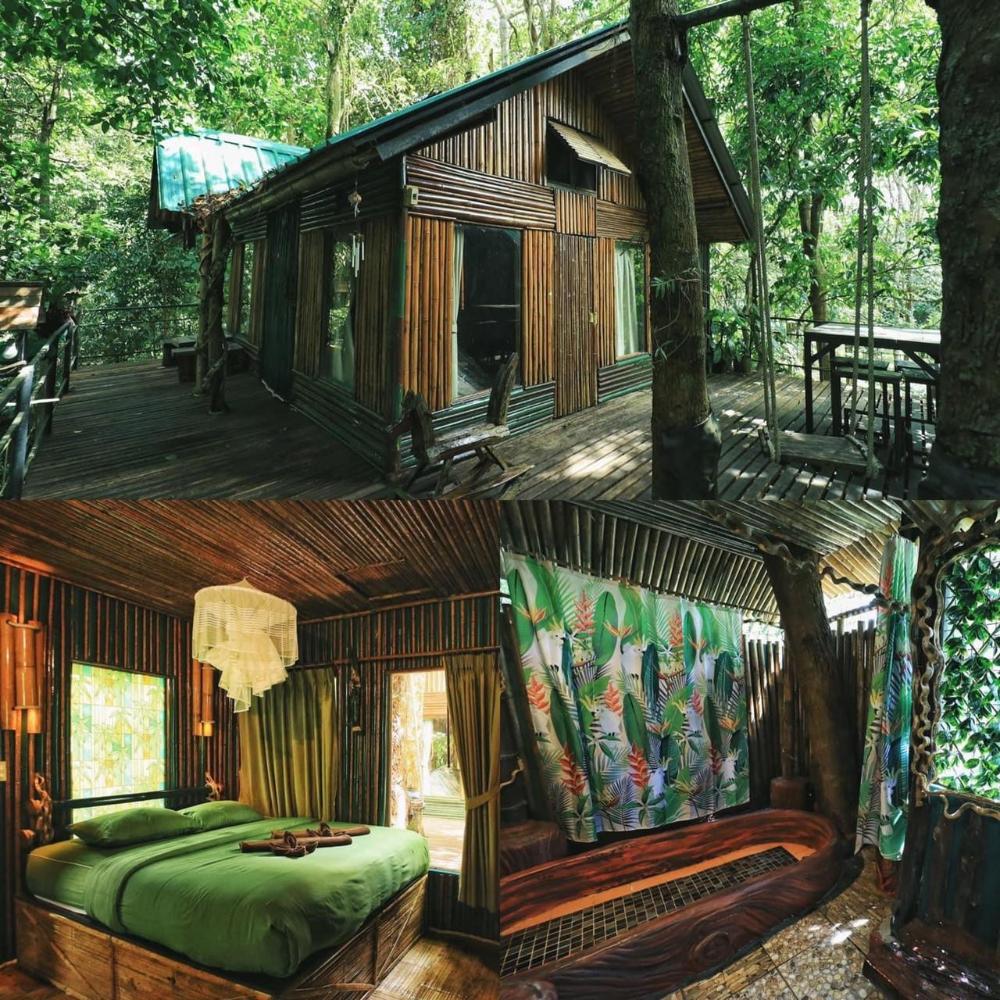 khao sok tree house