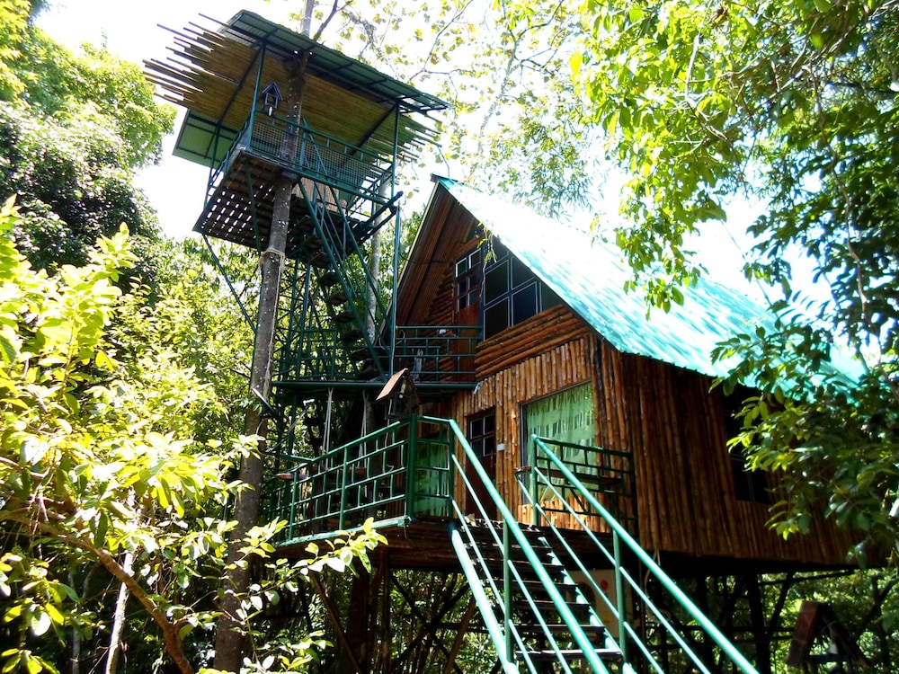 khao sok tree house