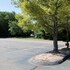 niantic ct