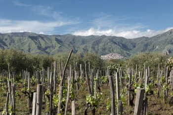 Zash Country Boutique Hotel,Giarre>>Catania,3 star