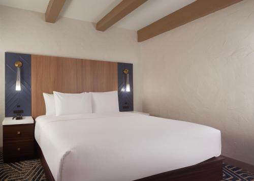 hotel royer urbana champaign tapestry collection by hilton
