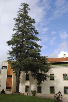 el salugral termal resort
