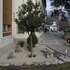 el salugral termal resort