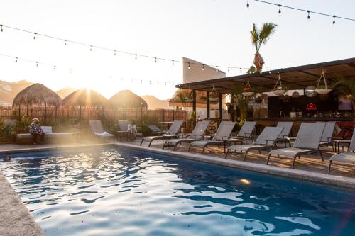 mayan monkey los cabos adults only